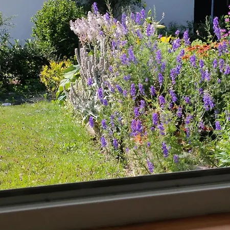 Blumengruss Appartement