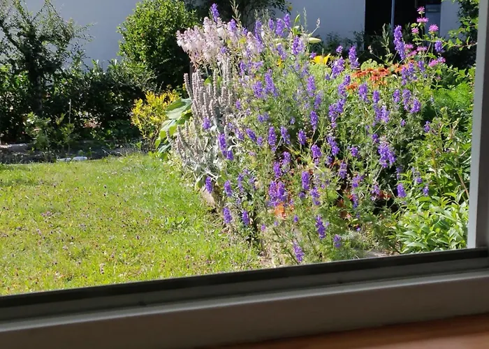 Blumengruss Apartman